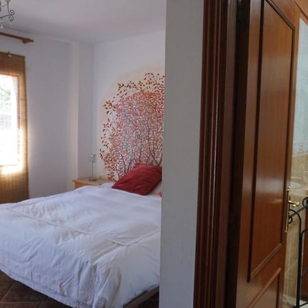Casa Colores Tenerife Guesthouse Κανδελάρια Εξωτερικό φωτογραφία